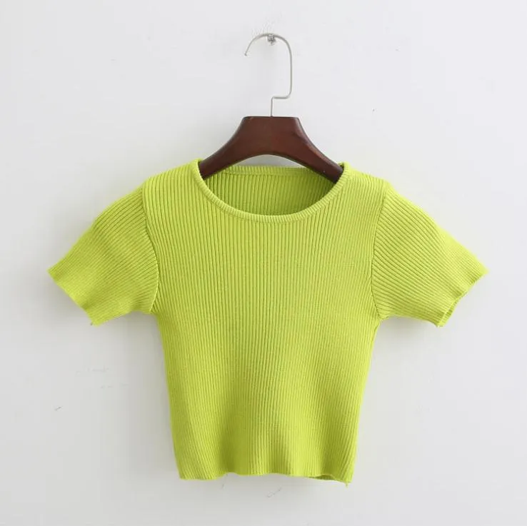 Elastic Slim Fit Knitted Crop Top Shirt