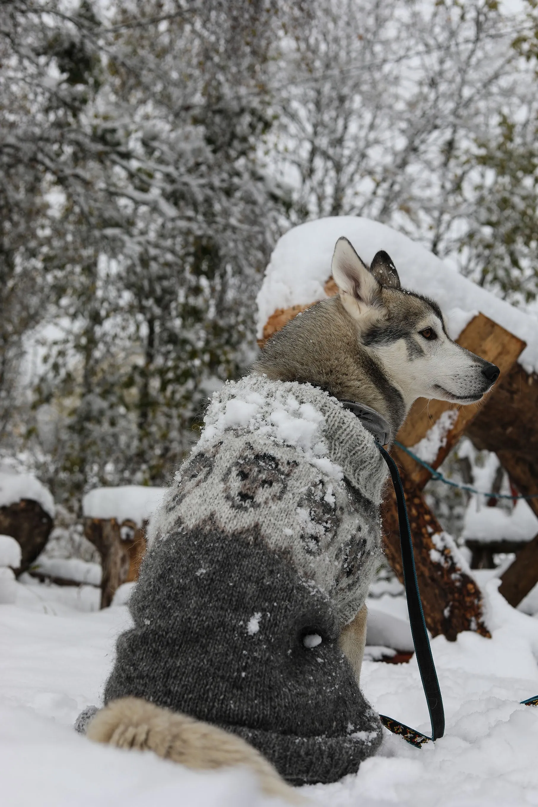 Eventyrstrikk fra @loparefur Vol.I ( Adventure Knitting )