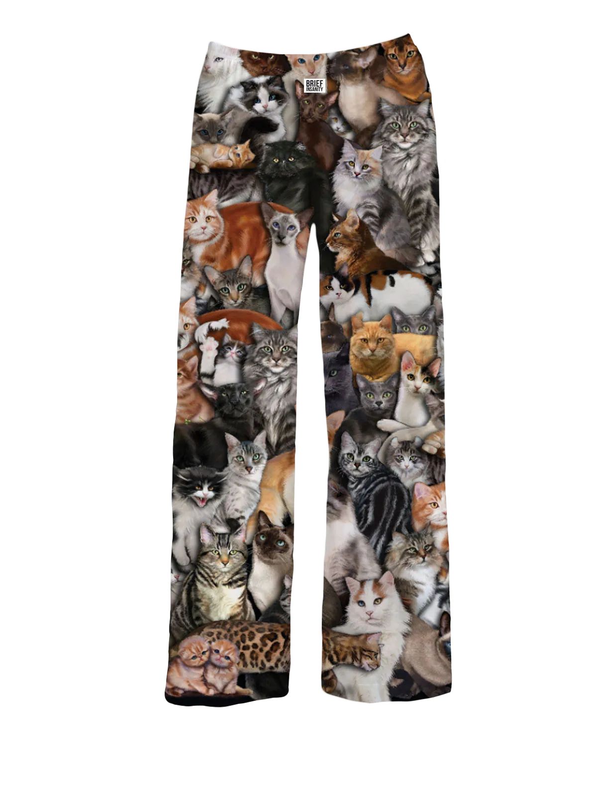 F Brief Insanity All Over Cat Print Pajama Lounge Pants